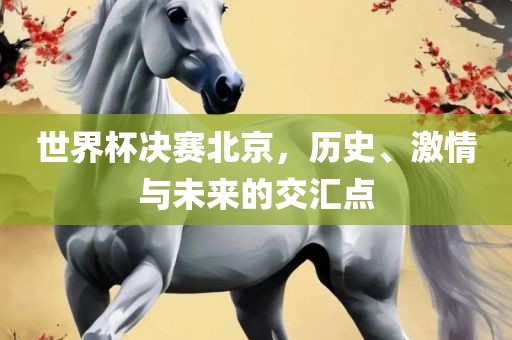 世界杯决赛北京，历史、激情与未来的交汇点