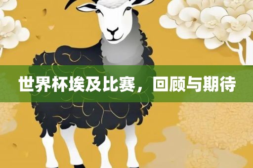 世界杯埃及比赛，回顾与期待