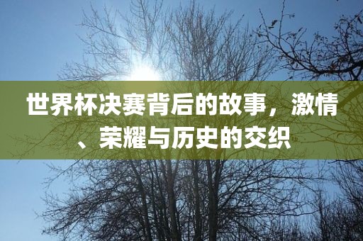 世界杯决赛背后的故事，激情、荣耀与历史的交织