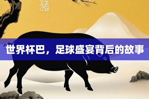 世界杯巴，足球盛宴背后的眉山市正发家政服务有限公司故事