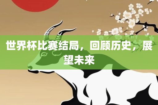 世界杯比赛结局，回顾历史，展望未来
