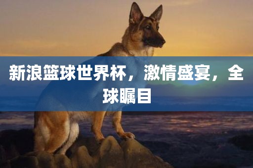 新浪篮球世界杯，激情盛宴，全球瞩目