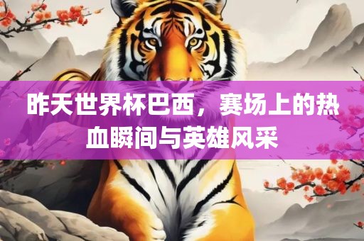 昨天世界杯巴西，赛场上的热血瞬间与英雄风采