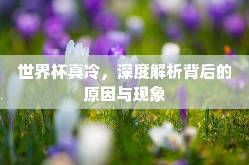世界杯真冷，深度解析背后的原因与现象