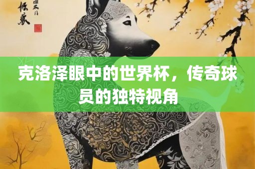 克洛泽眼中的世界杯，传奇球员的独特视角
