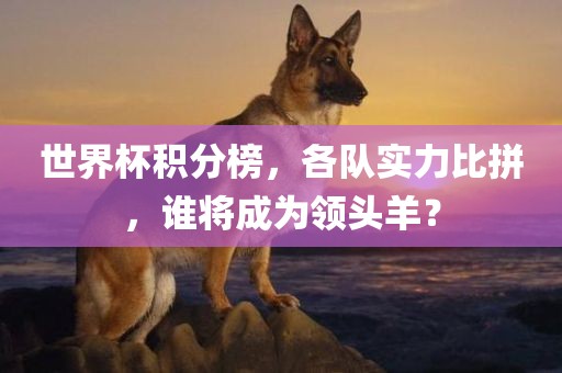 世界杯积分榜，各队实力比拼，谁将成为领头羊？