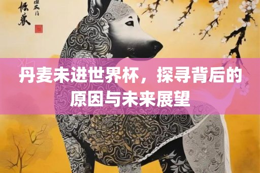 丹麦未进世界杯，探寻背后的原因与未来展望