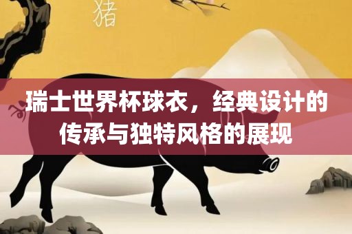 瑞士世界杯球衣，经典设计的传承与独特风格的展现