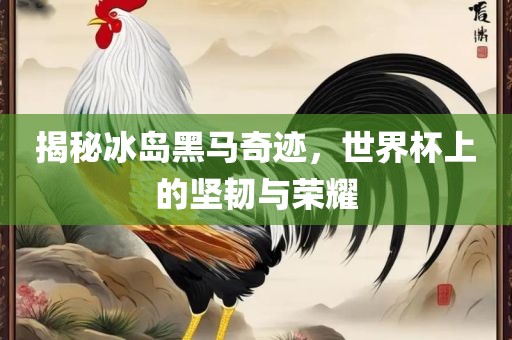 揭秘冰岛黑马奇迹，世界杯上的坚韧与荣耀