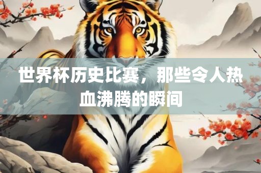世界杯历史比赛，那些令人热血沸腾的瞬间