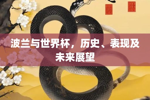 波兰与世界杯，历史、表现及未来展望