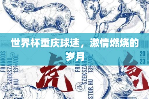 世界杯重庆球迷，激情燃烧的岁月