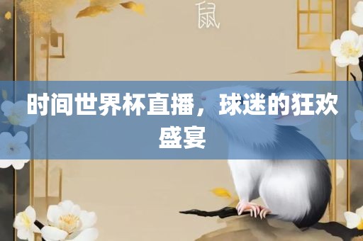时间世界杯直播，球迷的狂欢盛宴
