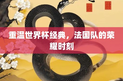 重温世界杯经典，法国队的荣耀时刻