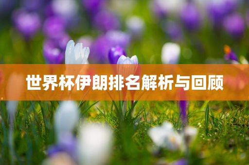 世界杯伊朗排名解析与回顾