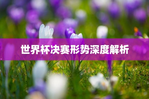世界杯决赛形势深度解析