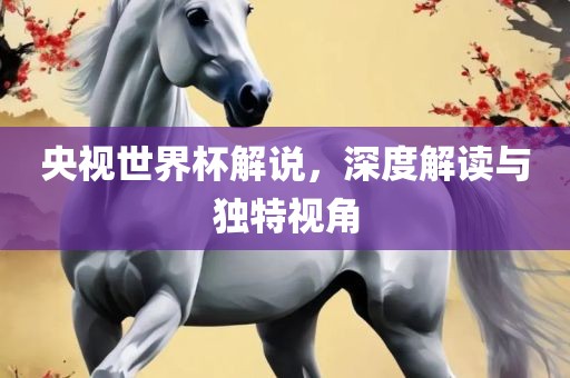 央视世界杯解说，深度解读与独特视角