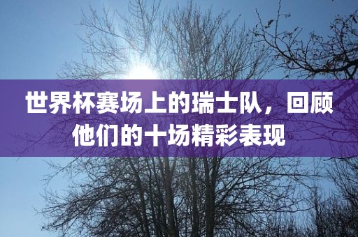 世界杯赛场上的瑞士队，回顾他们的十场精彩表现