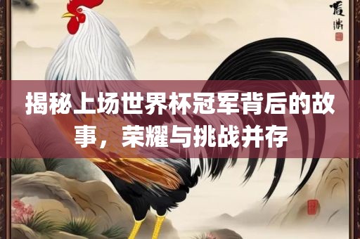 揭秘上场世界杯冠军背后的故事，荣耀与挑战并存