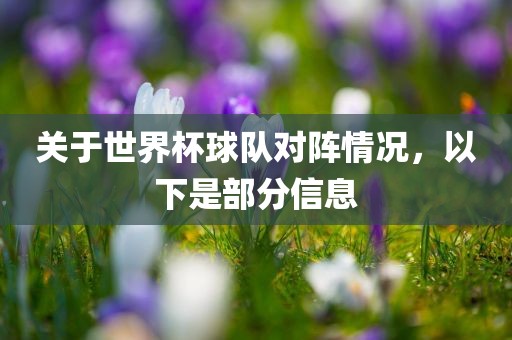 关于世界杯球队对阵情况，以下是部分信息