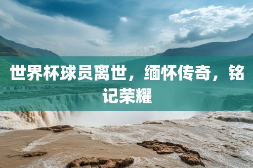 世界杯球员离世，缅怀传奇，铭记荣耀