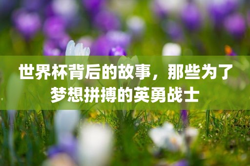 世界杯背后的故事，那些为了梦想拼搏的英勇战士
