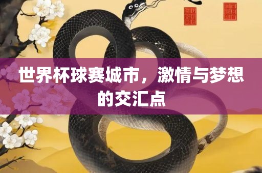 世界杯球赛城市，激情与梦想的交汇点