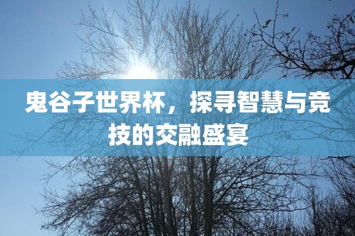 鬼谷子世界杯，探寻智慧与竞技的交融盛宴