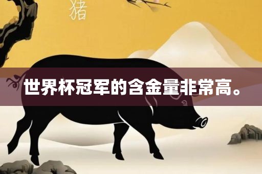 世界杯冠军的含金量非常高。