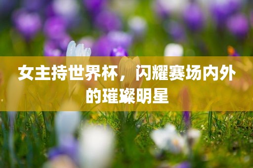 女主持世界杯，闪耀赛场内外的璀璨明星