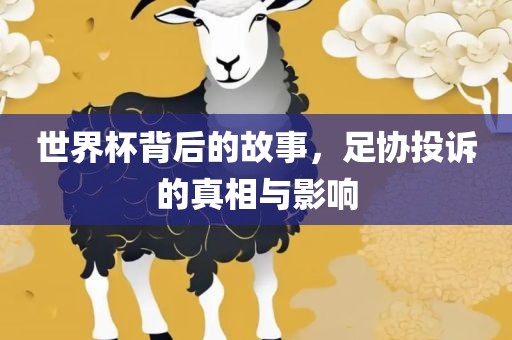 世界杯背后的故事，足协投诉的真相与影响