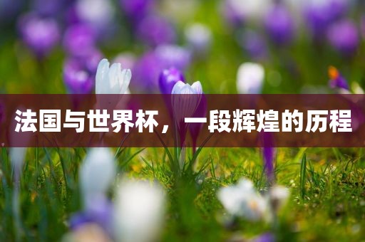 法国与世界杯，一段辉煌的历程