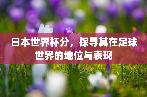 日本世界杯分，探寻其在足球世界的地位与表现