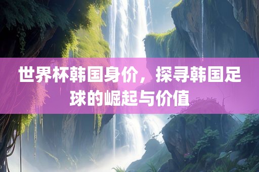 世界杯韩国身价，探寻韩国足球的崛起与价值