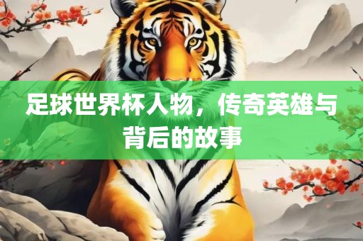 足球世界杯人物，传奇英雄与背后的故事