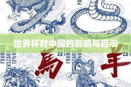 世界杯对中国的影响与启示