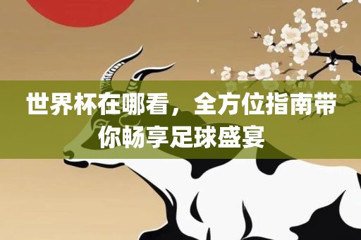 世界杯在哪看，全方位指南带你畅享足球盛宴