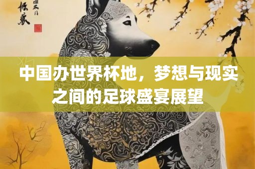 中国办世界杯地，梦想与现实之间的足球盛宴展望