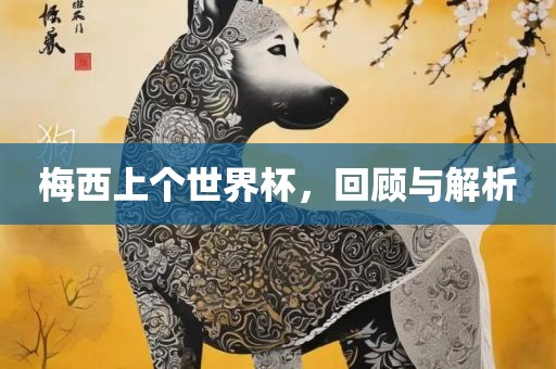 梅西上个世界杯，回顾与解析