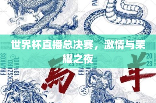 世界杯直播总决赛，激情与荣耀之夜
